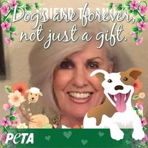 Meet your Posher, Ann